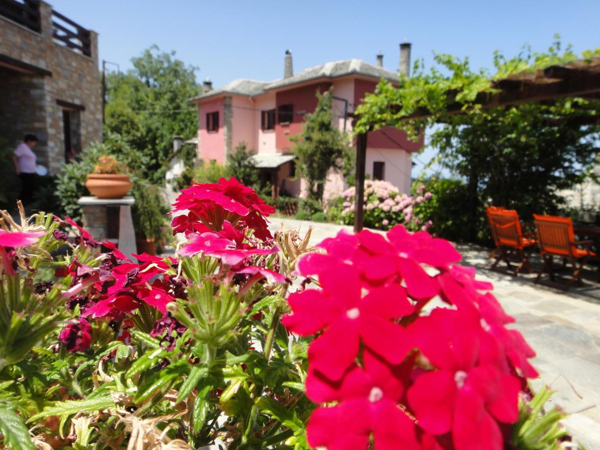 Guesthouse Iris Цагарада Экстерьер фото