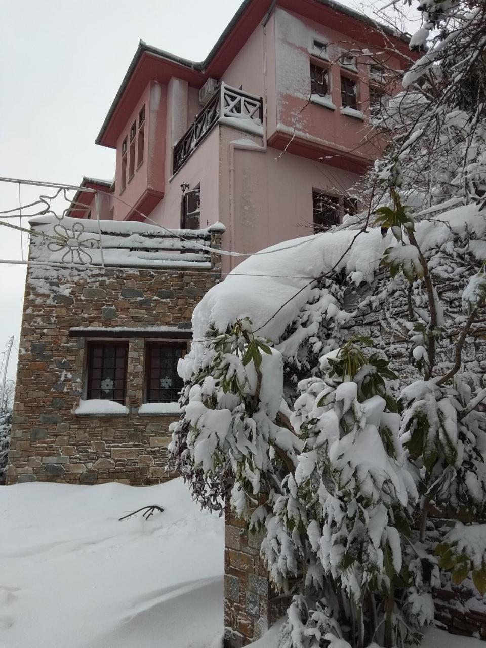 Guesthouse Iris Цагарада Экстерьер фото